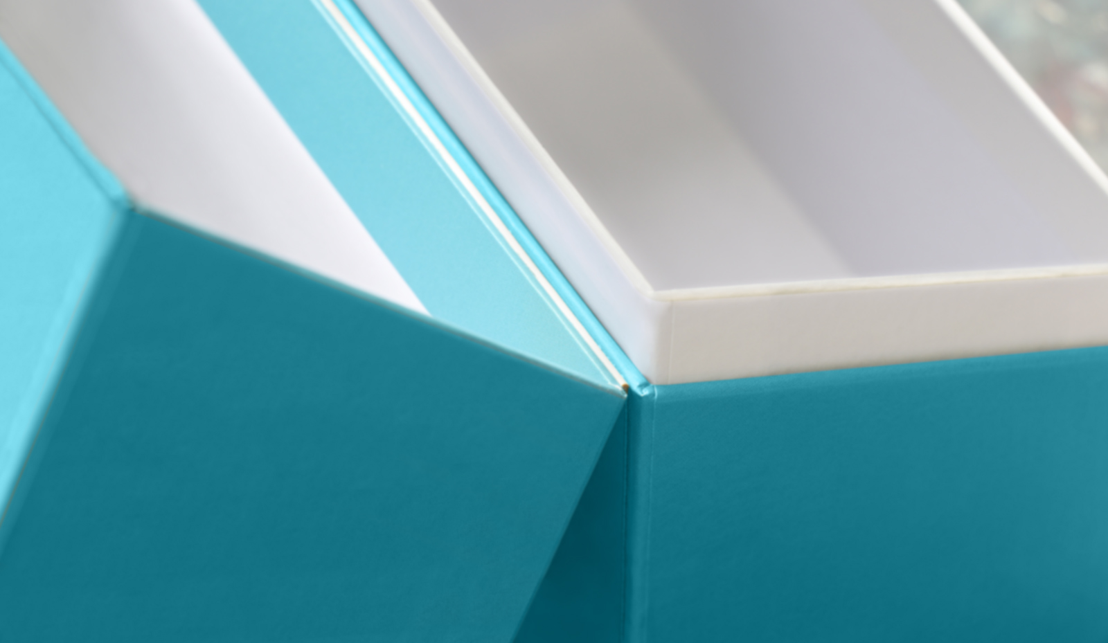 Klappkassette mit Hals und Scharnier (Detailansicht)